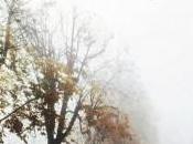 Stefano Visonà presenta alla Feltrinelli Treviso