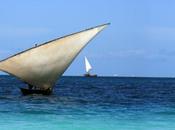 Jacaranda Spazio Poesia