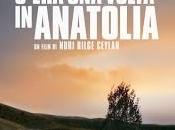 Nuri Bilge Ceylan: C'era Volta Anatolia
