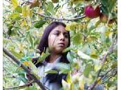 Bambini lavoro pomodori made