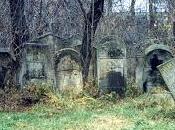 Bachelor's Grove: cimitero infestato mondo