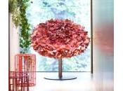 Bouquet Moroso