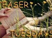 TEASER TUESDAYS... (EPISODIO lettrice fiori" Elizabeth Loupas "Fragili preziose" Megan Hart