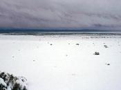 Drammatica ondata freddo neve investe mongolia