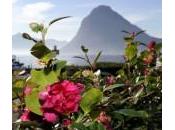 Primavera inaspettata Svizzera Lago Lugano