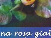 Arriva libreria: Sergio Marioli, “Una rosa gialla Lucia”, Zisa, pagg. euro