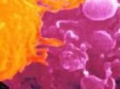 Cancro: premio Nobel Watson dice agli antiossidanti contro cancro
