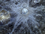 Raggi cratere Mercurio