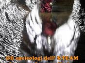 nascoste dell’acqua 2013″ proiezione Schio (VI)