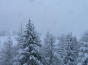 Abbondanti nevicate sulle montagne venete