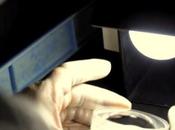 Nikon svela produzione suoi obiettivi video