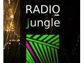 diretta radio jungle!