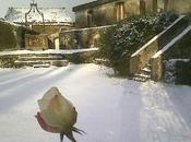 ....di paesaggio bianco