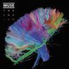 MUSICA: Muse (The Law)