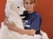 Greenpeace: Margherita Giobbe Covatta abbracci polari l’Artico
