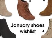 January Shoes Wishlist