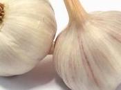 coltivare aglio