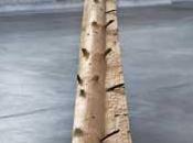 Giuseppe Penone Versailles