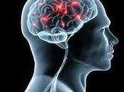 Neuroscienziati dimostrano dormire aiuta ricordare meglio