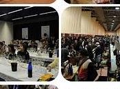 vini dell'Etna": Musmeci 2007 della Tenuta Fessina ENOLOGICA 2010