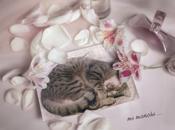 Bimbo, amore mio, dico ciao