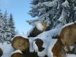 Foreste: sindrome svedese