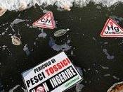 Mare toscano: mercurio pesce