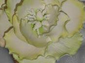 Peonia