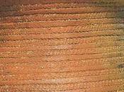 L'Età Rame Bresciano mostra