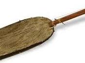 N'goni, l'antenato banjo