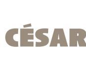 César 2013: candidature