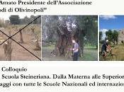 Parco degli Olivi salvati Progetto Scuola Steineriana Venerdì febbraio 2013 alle Castello Gualtieris