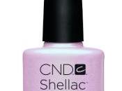 Sweet Dreams Collection Shellac