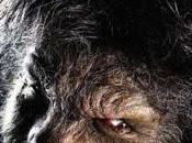 Lupo mannaro, svelato mistero