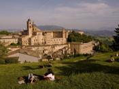 Master Urbino, formazione primo piano