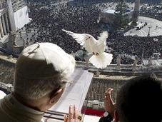 colomba della pace Papa rischia fare finaccia!