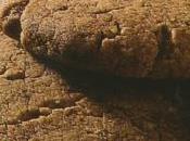 Biscotti all'arancia cioccolato