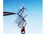 arrivo componenti elettronici auto distruzione