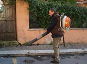 Cittadini volontari, resistenza antidegrado: foto report xiii decoro xviii municipio!