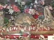 Belvedere Marittimo: Paese dell’Amore. febbraio festa nozze d’argento