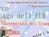 Hanami 2013, fine marzo lago dell’Eur Roma