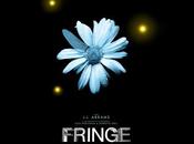 Fringe, fine