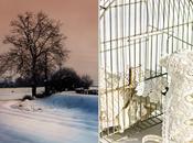 Best 2012 prima parte