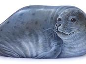 Foca dipinta pietra