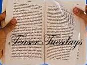 Teaser Tuesday 2013