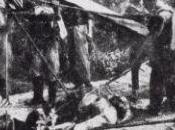 Giorno Ricordo, Stefania Bonaldi ispira princìpi fondamentali dell’europeismo