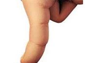 Ecco come tolgo formiche torno!