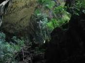 Borneo Cave