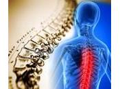 cosa consiste chiropratica