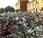 Italia boom biciclette, milioni ciclisti urbani
